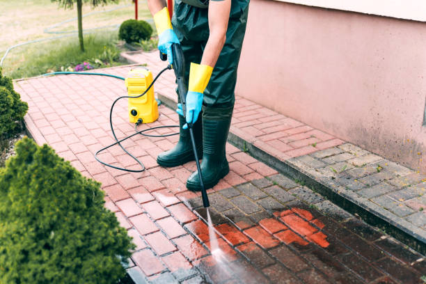 Best Dumpster Area Cleaning  in Whittier, CA