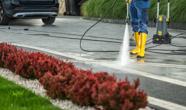 Best Soft Washing  in Whittier, CA